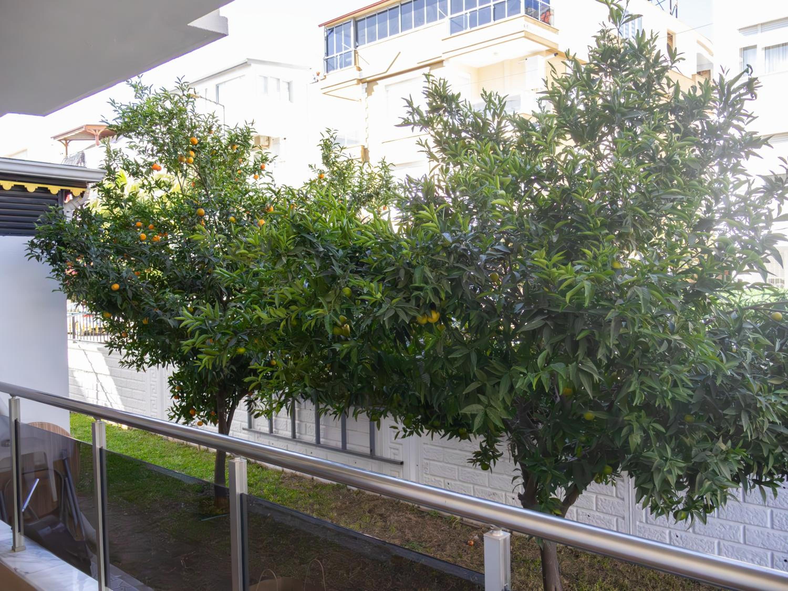 Güden-Pearl - Image 264