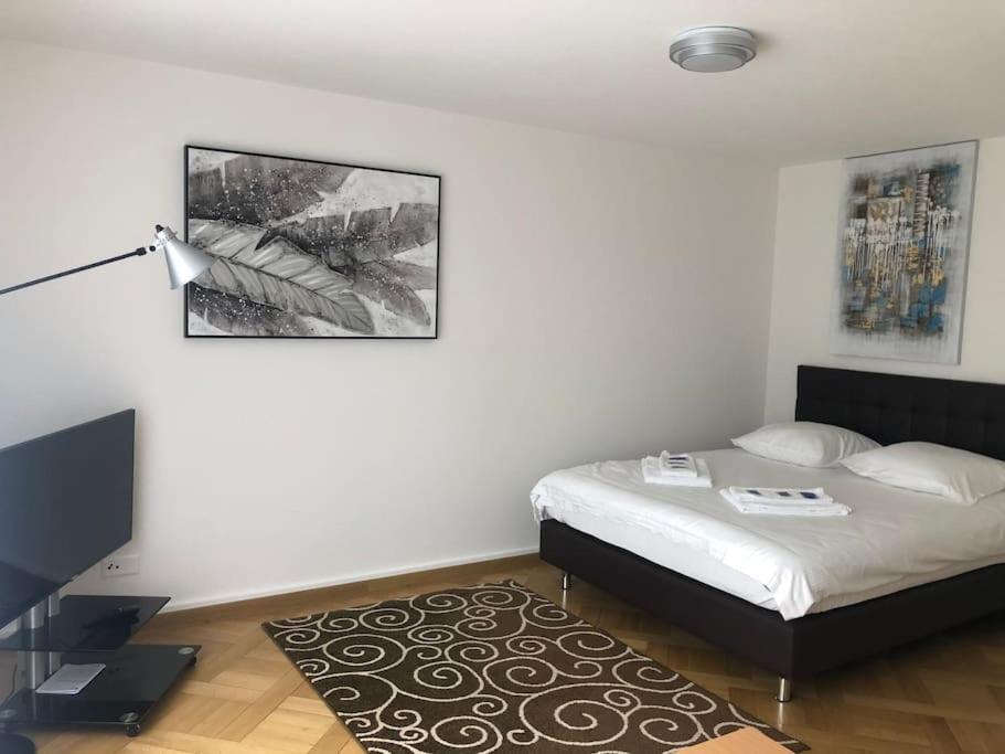 Bright studio in the city center - Greenyard 1