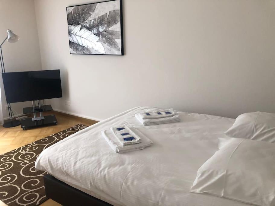 Bright studio in the city center - Greenyard 1