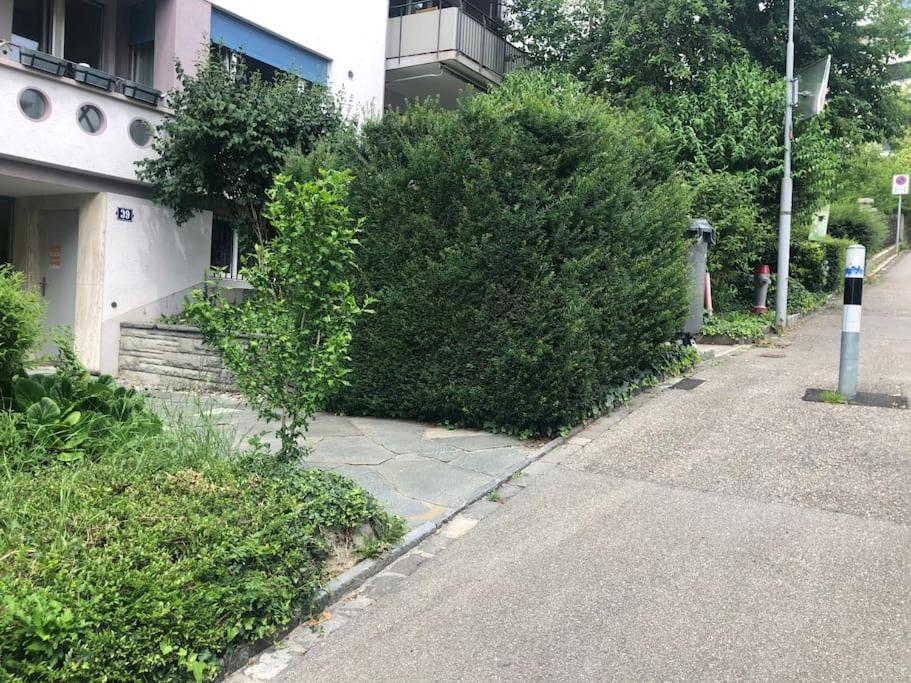 Bright studio in the city center - Greenyard 1