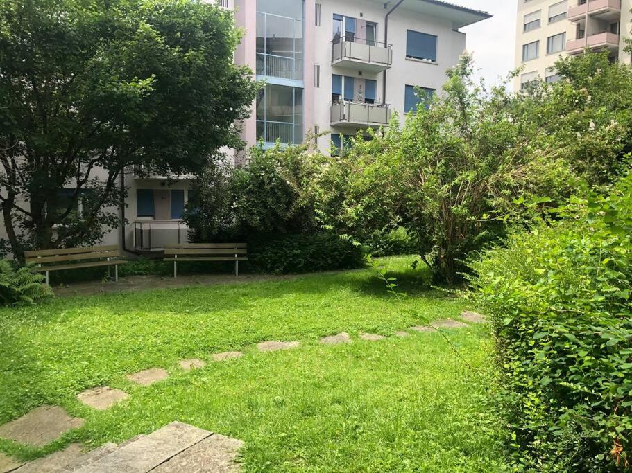 Bright studio in the city center - Greenyard 1