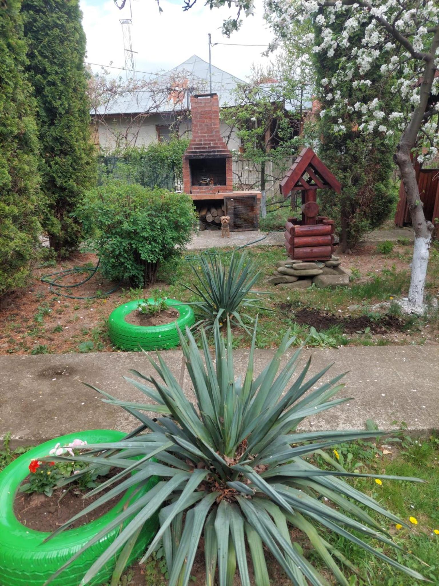 Casa Rustica view 2
