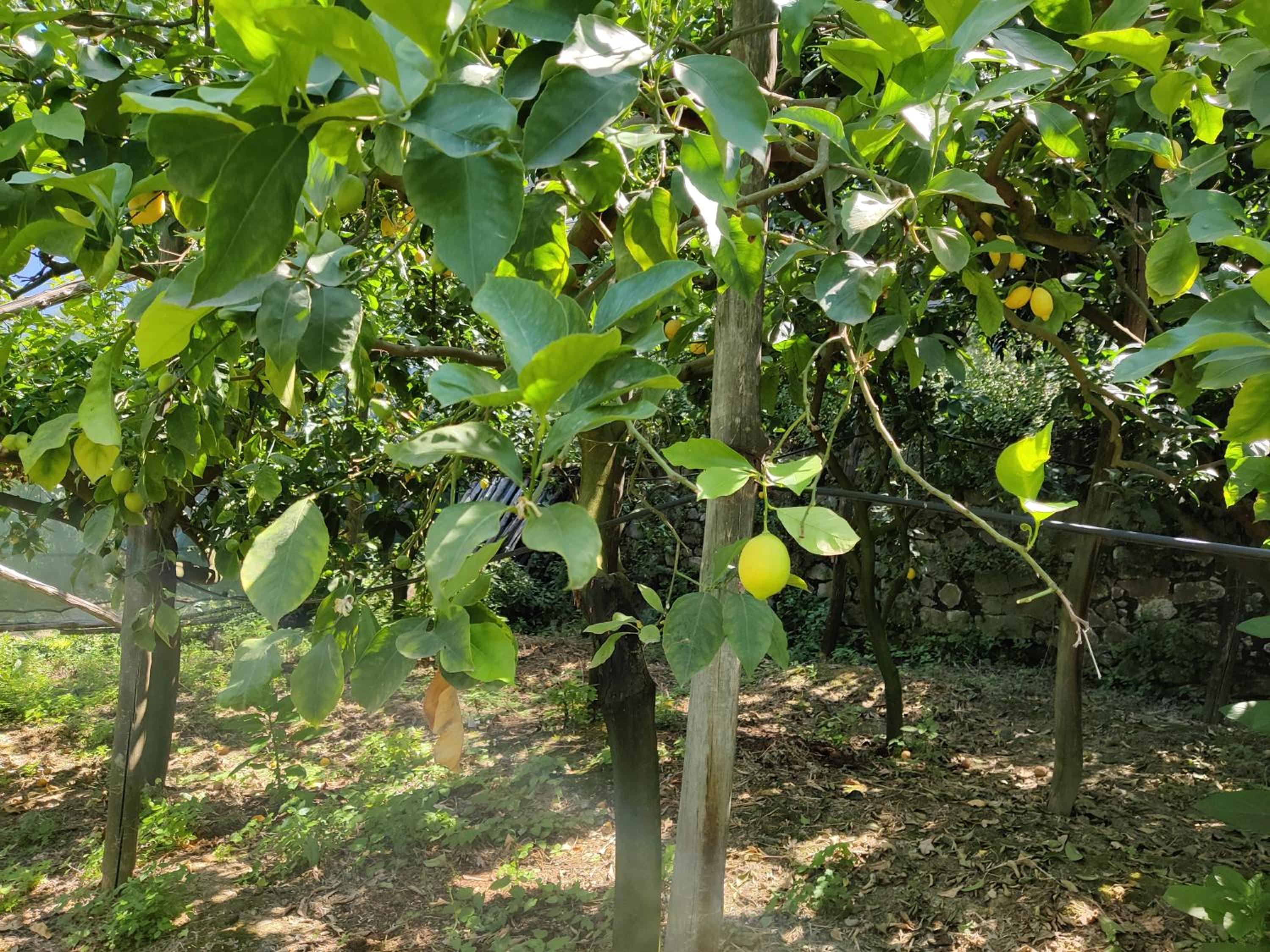 Bilocale Il Nido photo 2