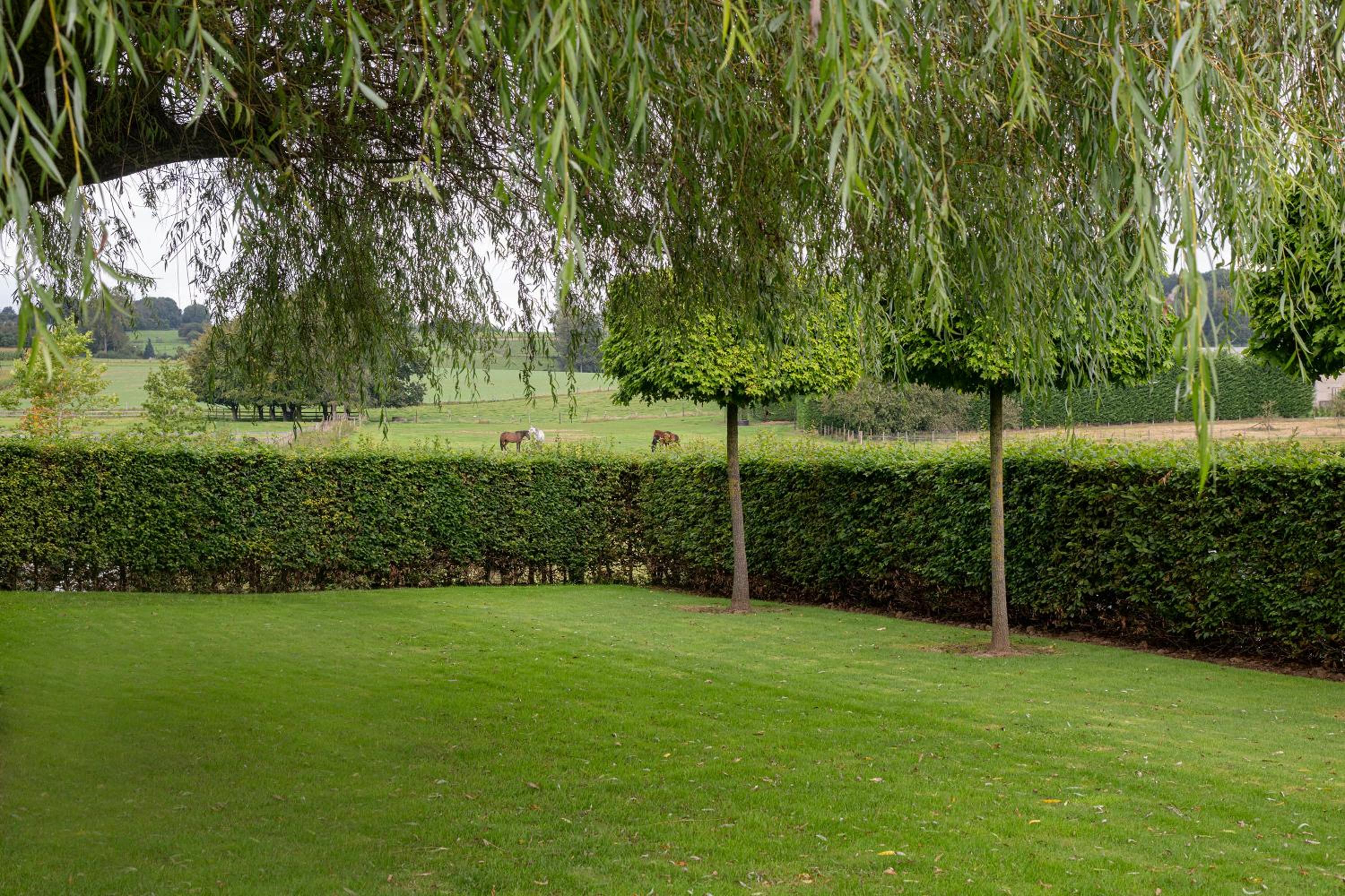 B&B Bertem Natuur view 3