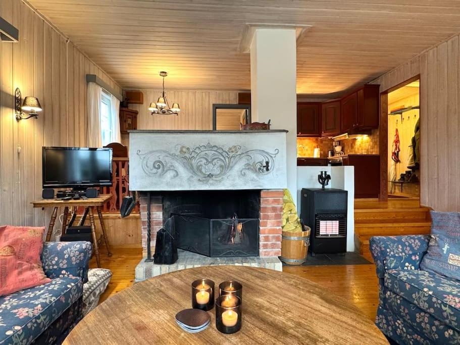Cozy family cabin in Geilo