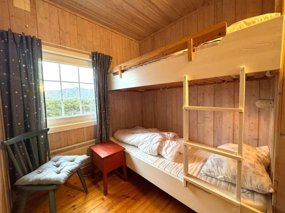 Cozy family cabin in Geilo