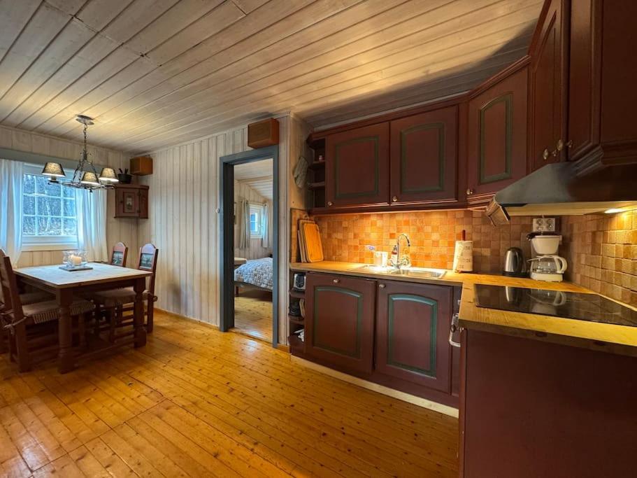 Cozy family cabin in Geilo