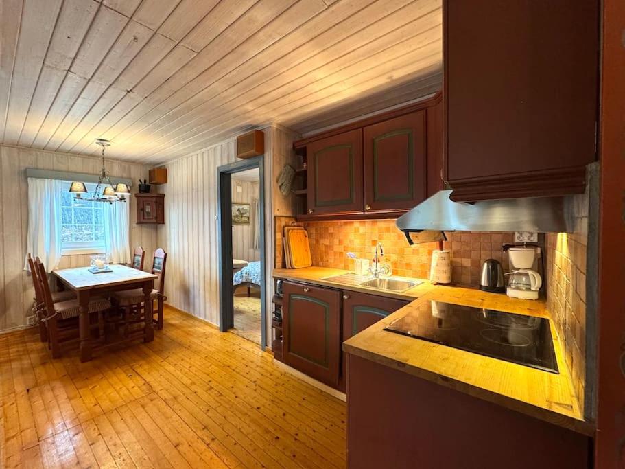 Cozy family cabin in Geilo