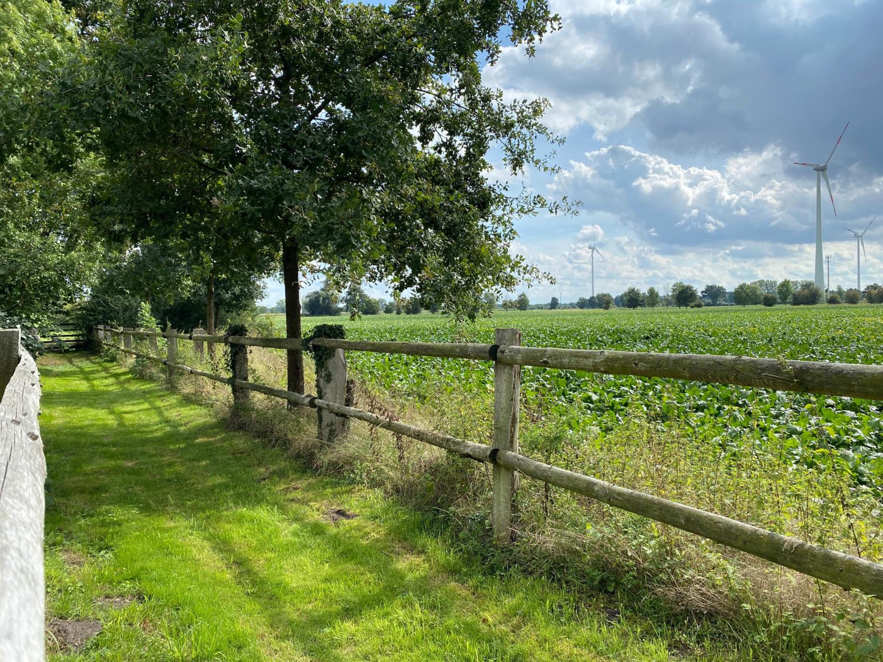 Ferienhäuser Weitblick