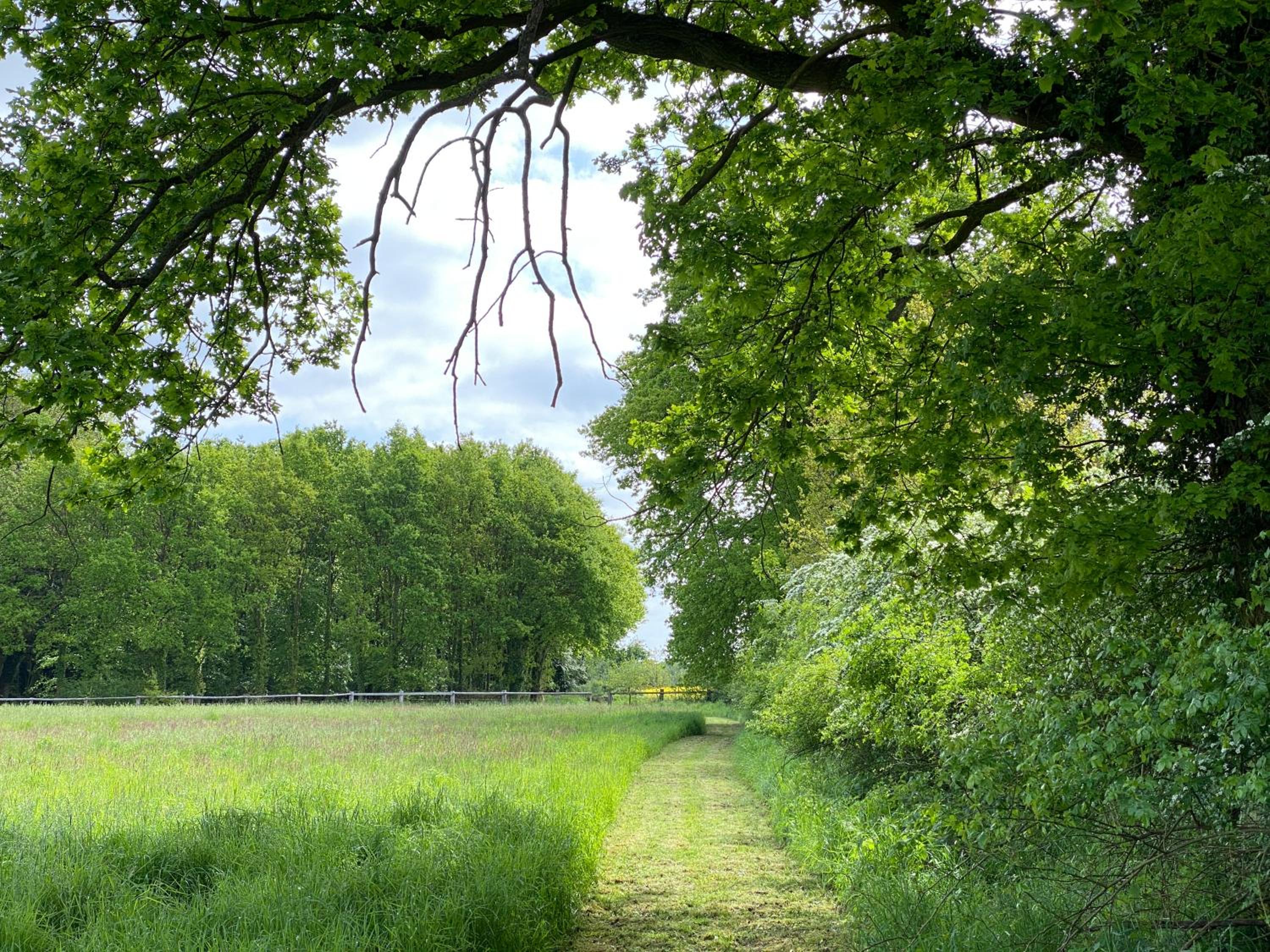 Ferienhäuser Weitblick