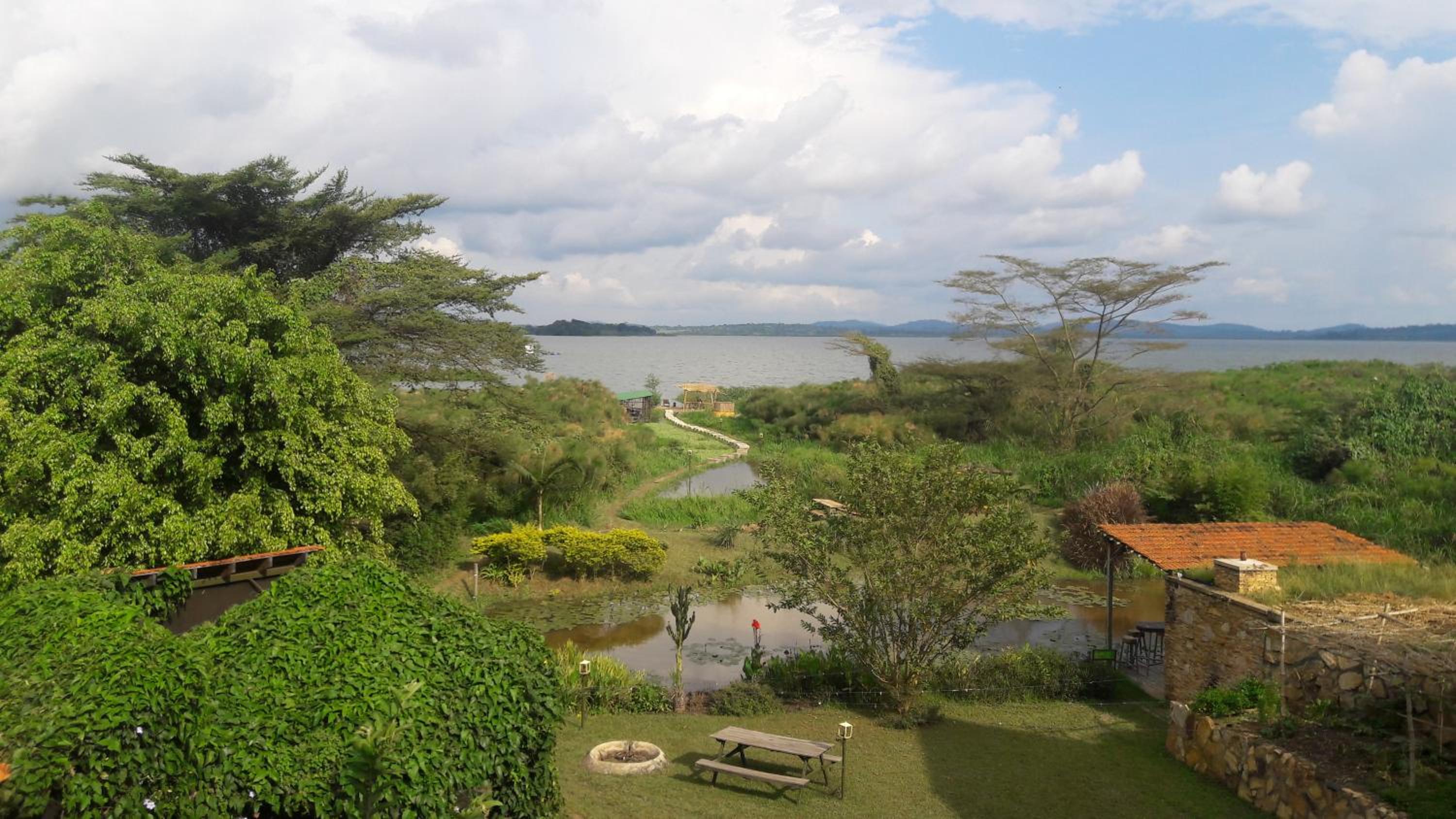 Yellow Haven Lodge