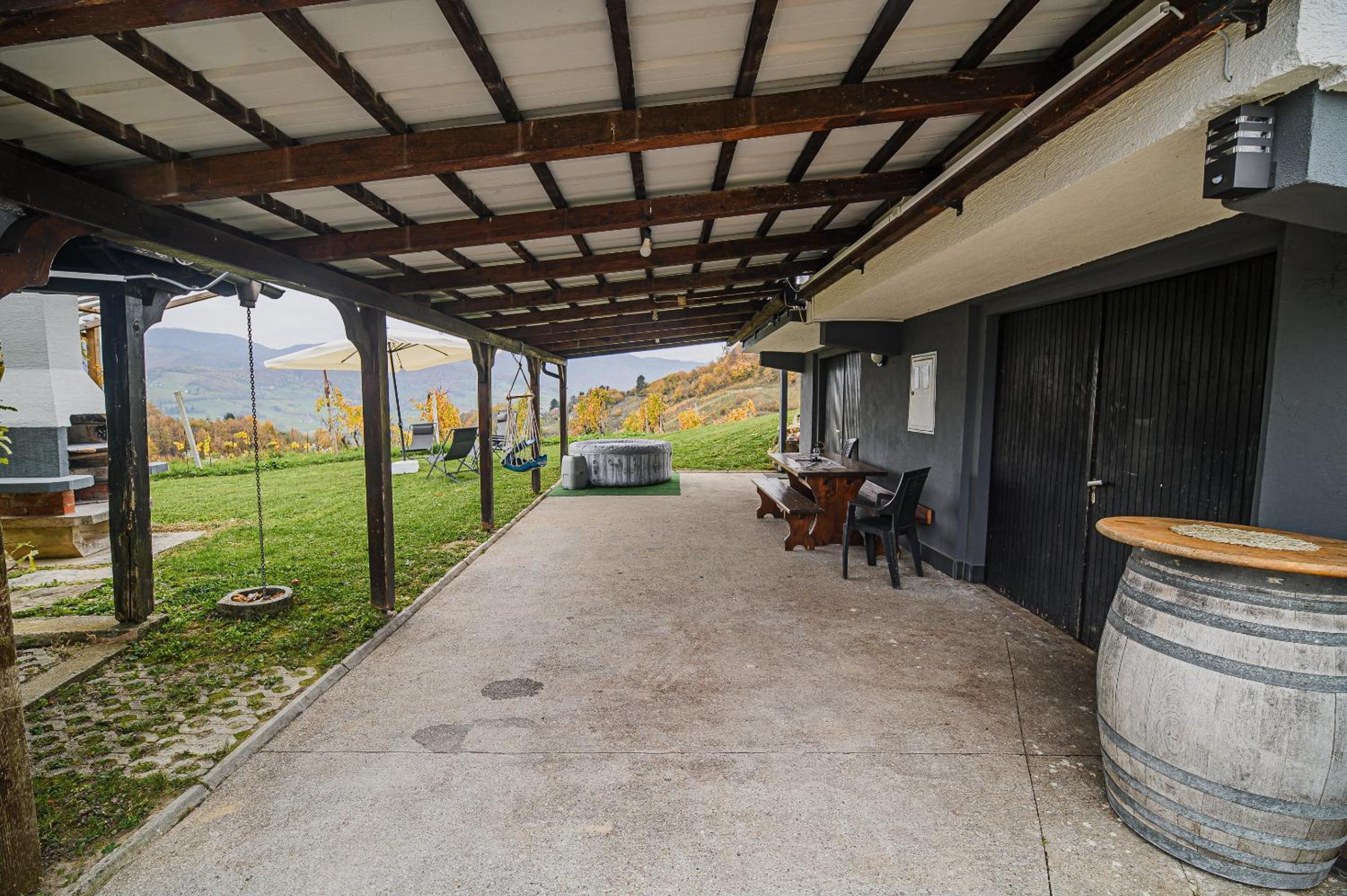 Apartment Trta with Vineyard View view 3