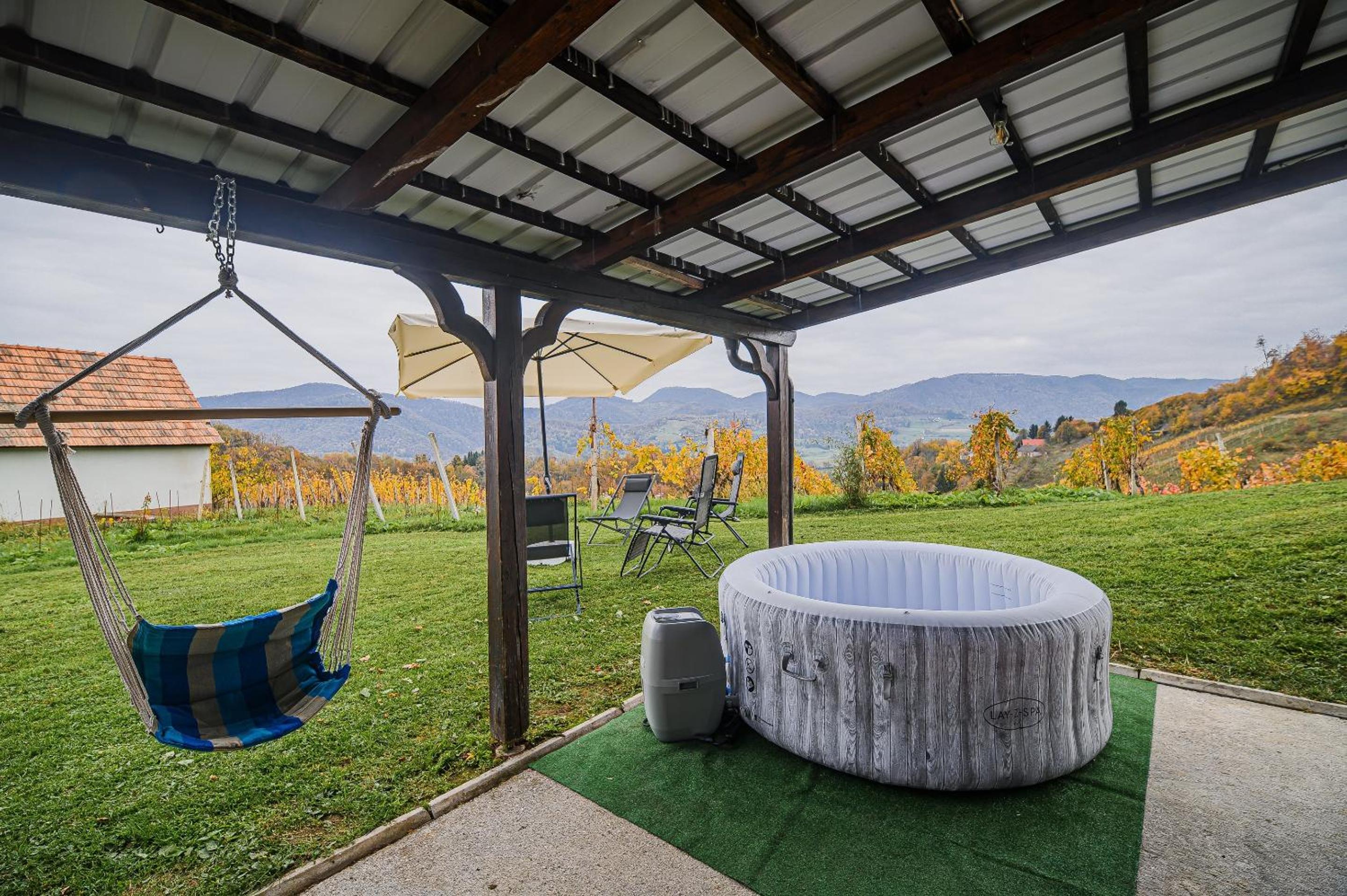 Apartment Trta with Vineyard View view 4