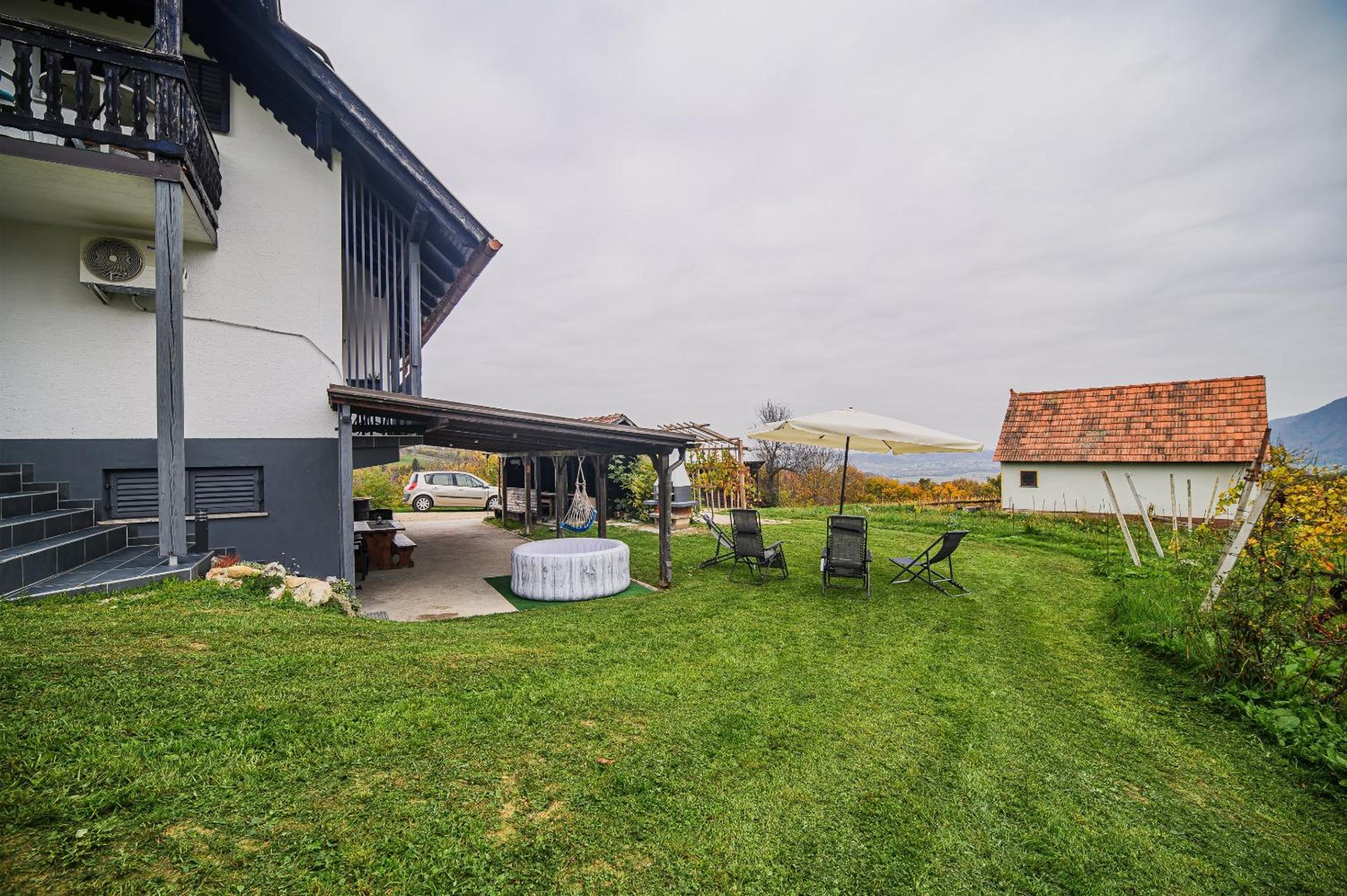 Apartment Trta with Vineyard View view 5