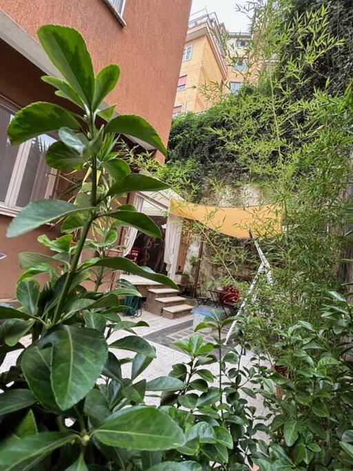Olimpia Guest House