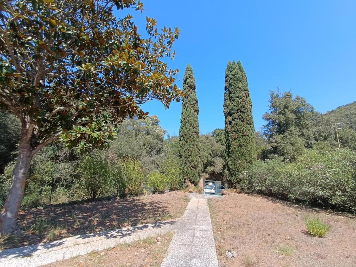 Villa Giovanna - Goelba view 4