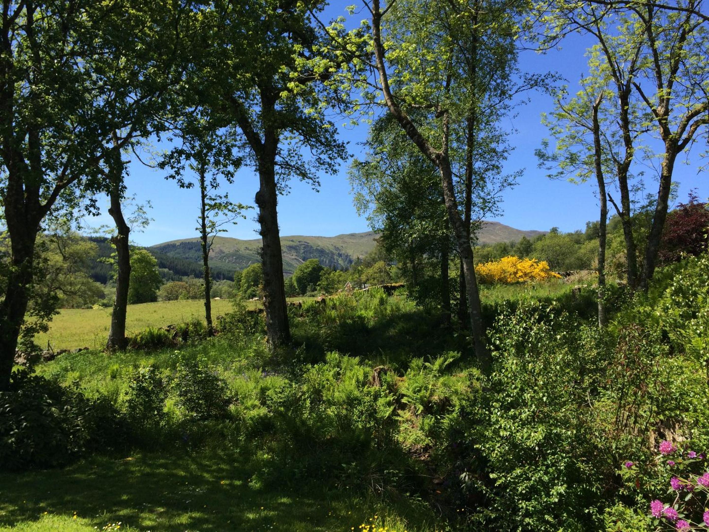 Leny Estate view 3