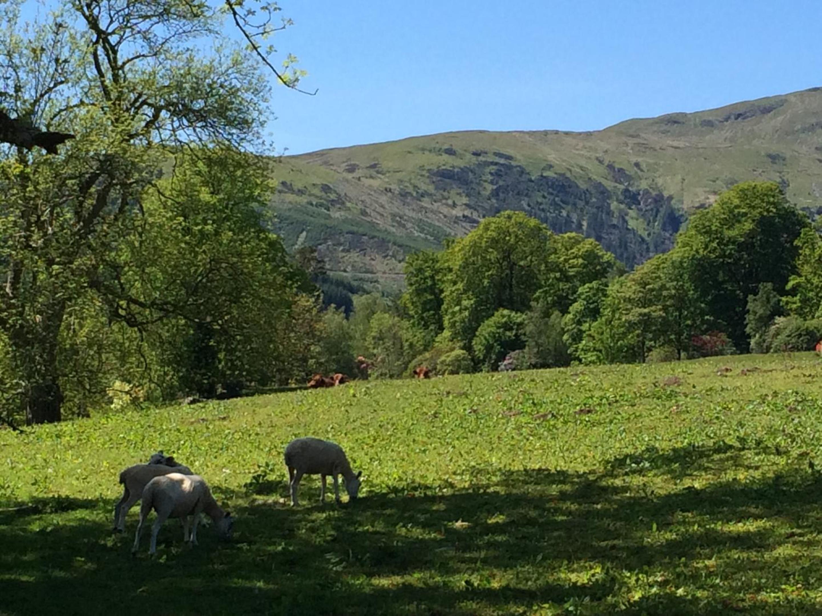 Leny Estate view 2