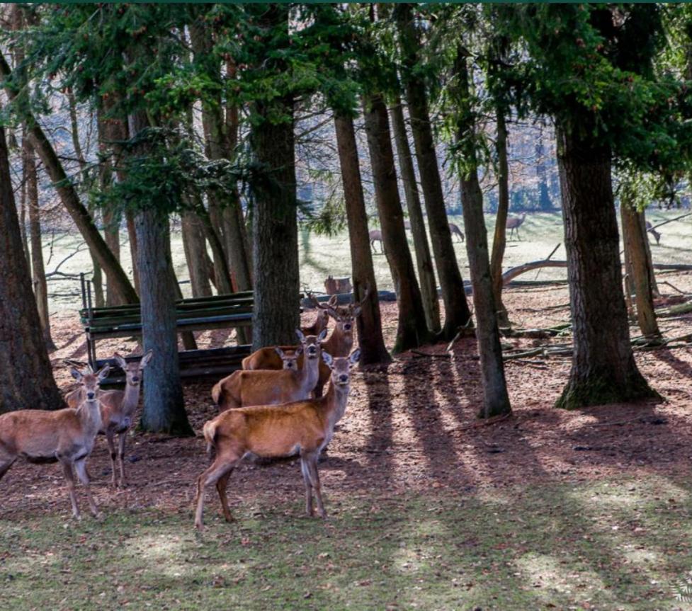 Le gîte de la Harde