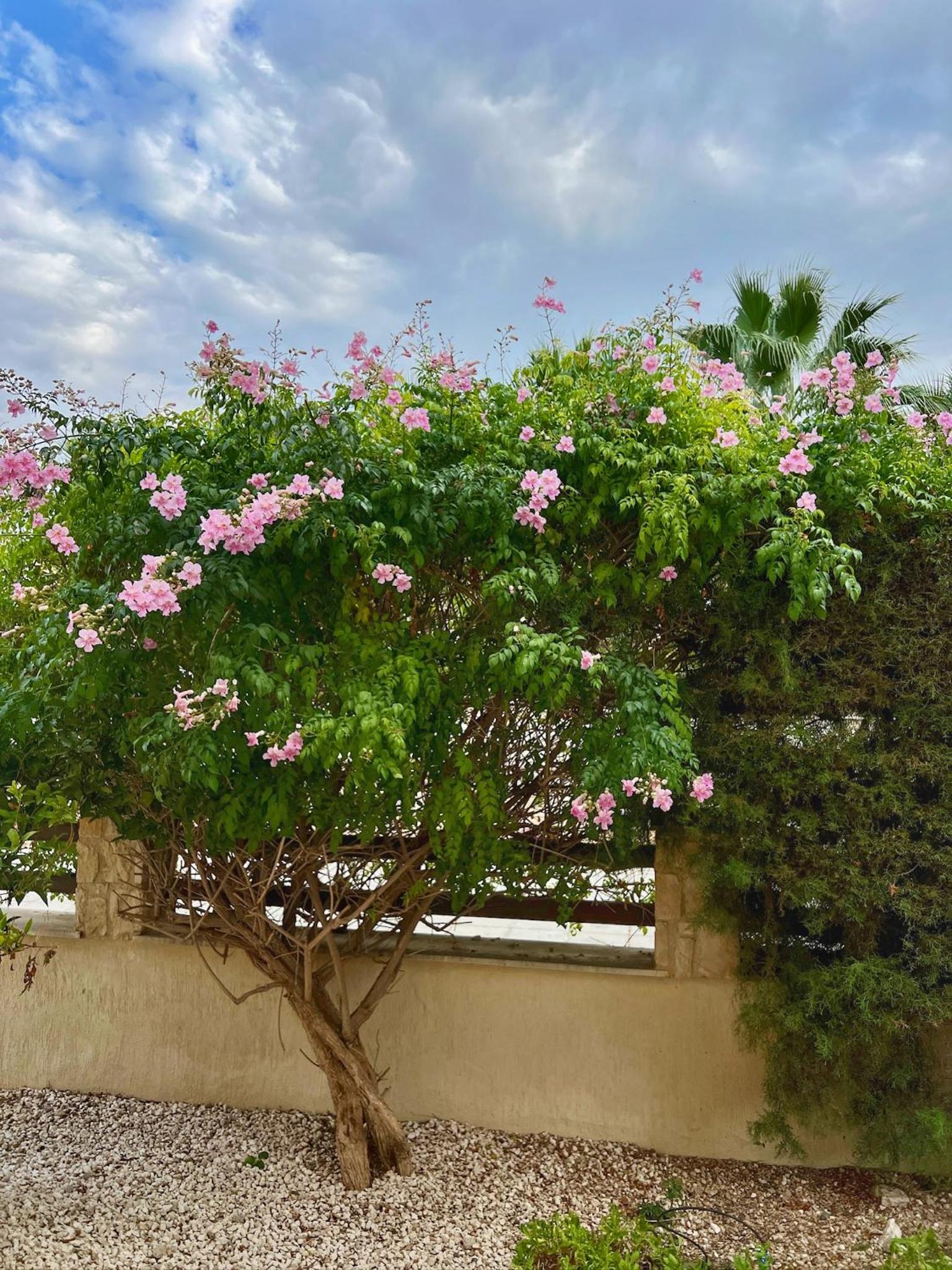 Seaview Villa Mia