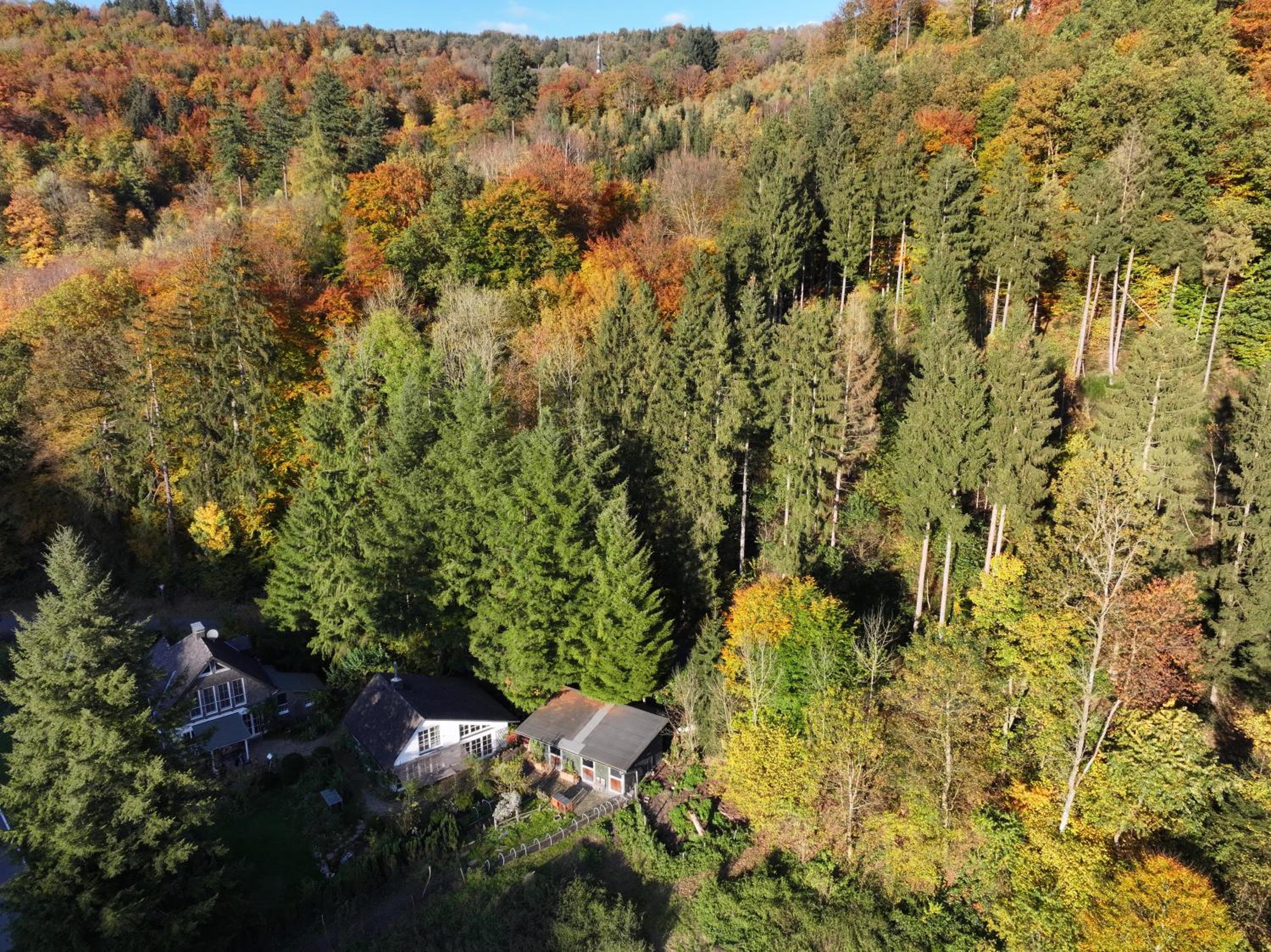 Ferienhaus mitten in der Natur