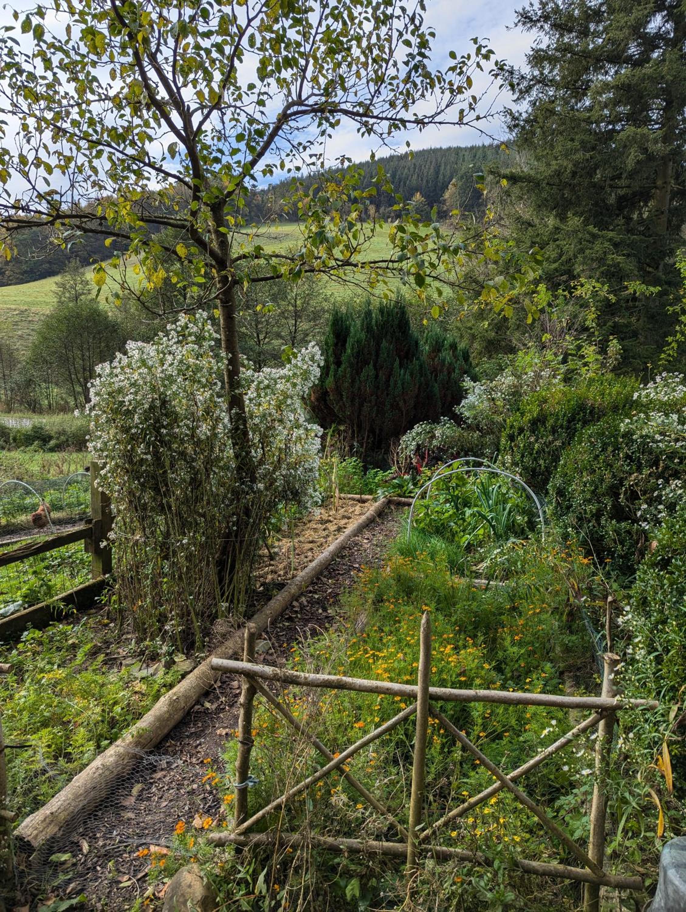 Ferienhaus mitten in der Natur