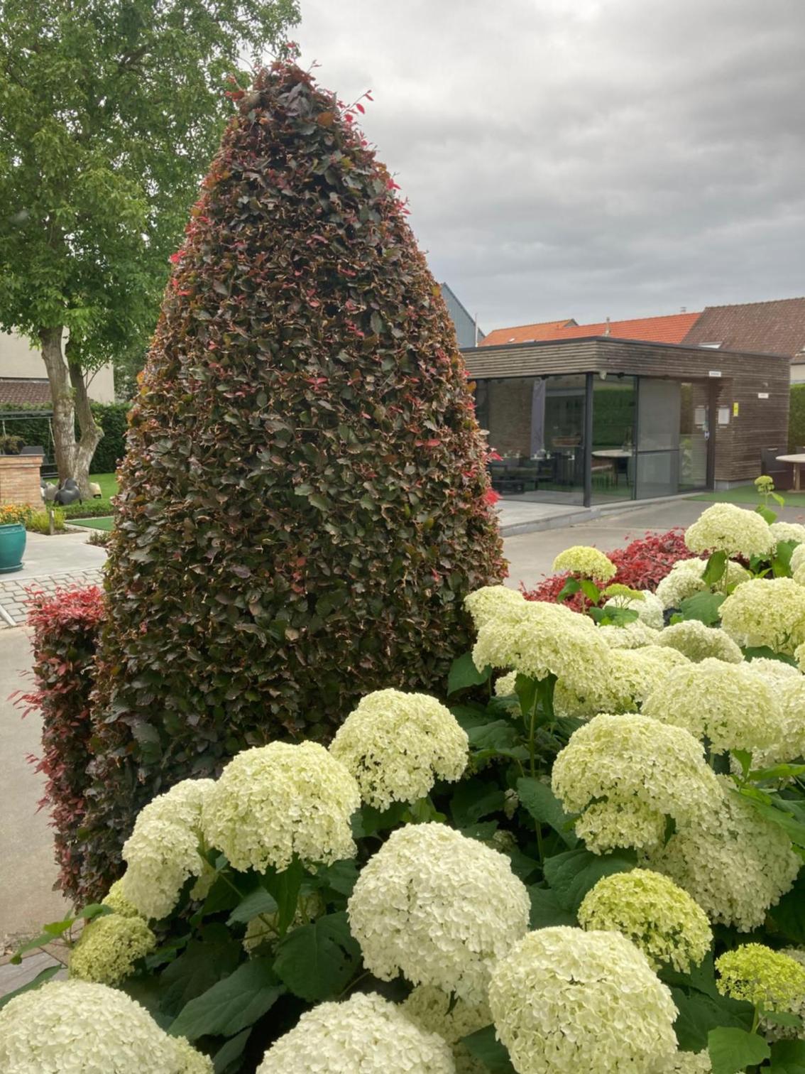 Photo 43