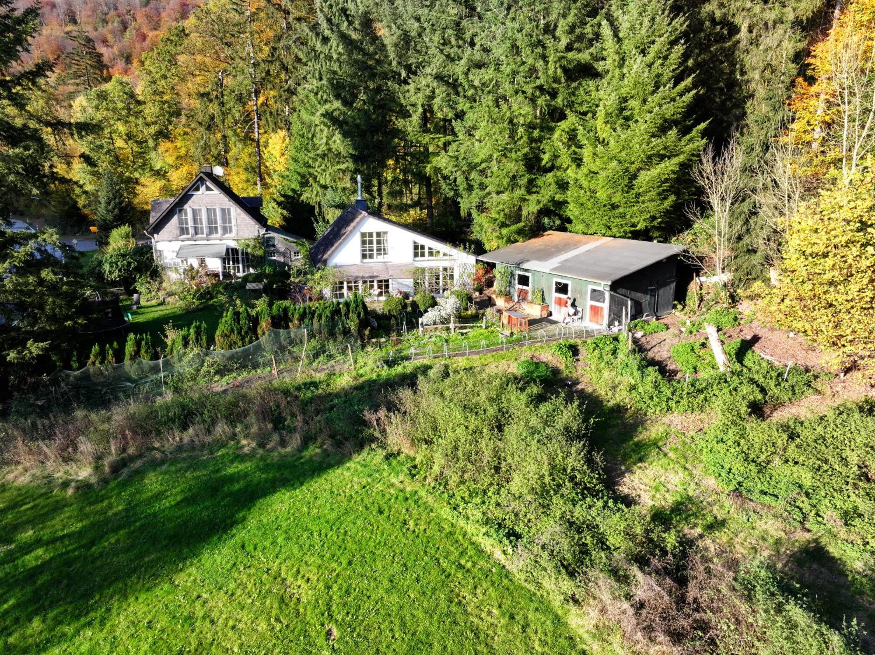 Ferienhaus mitten in der Natur