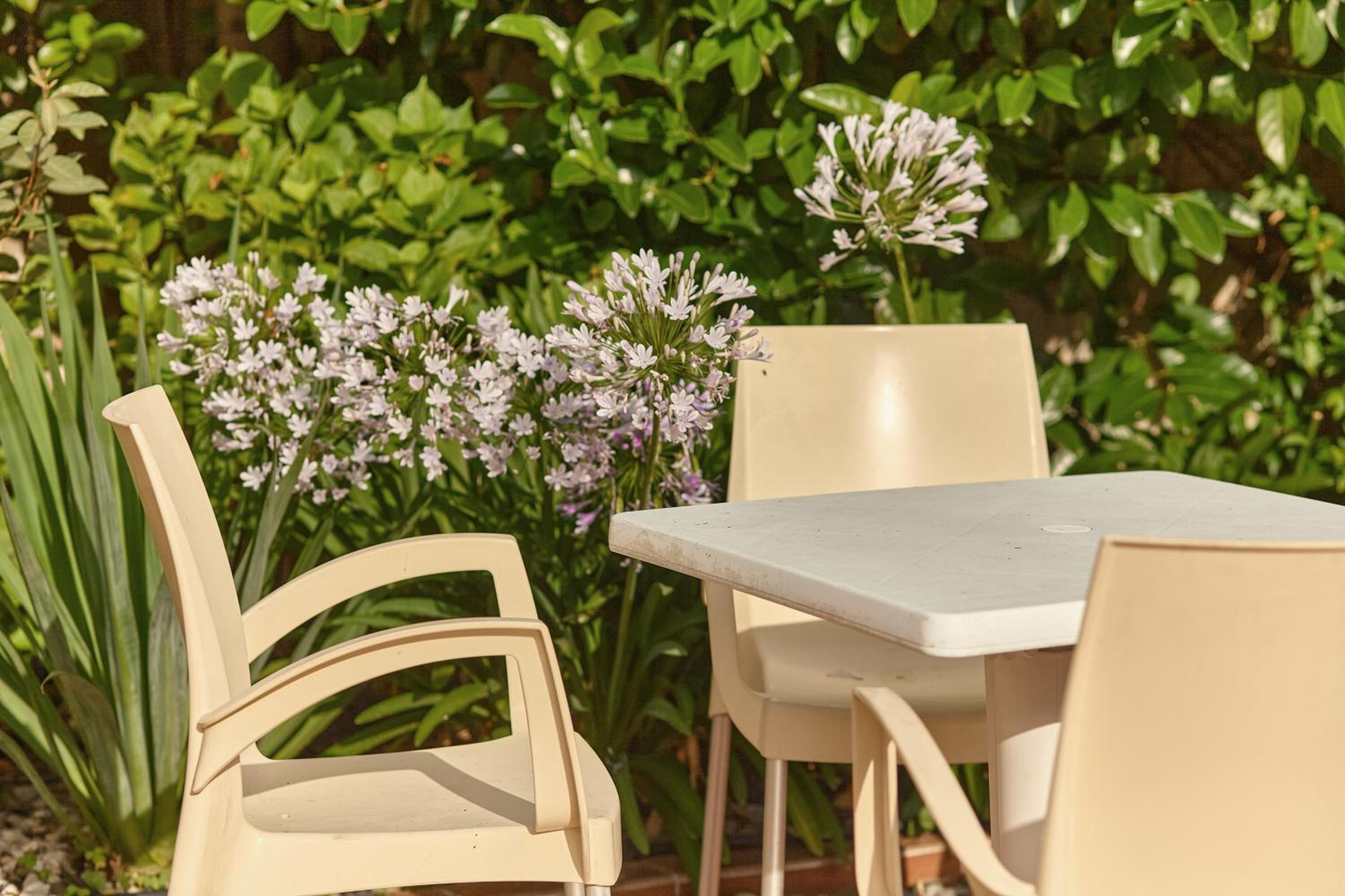Photo 36
