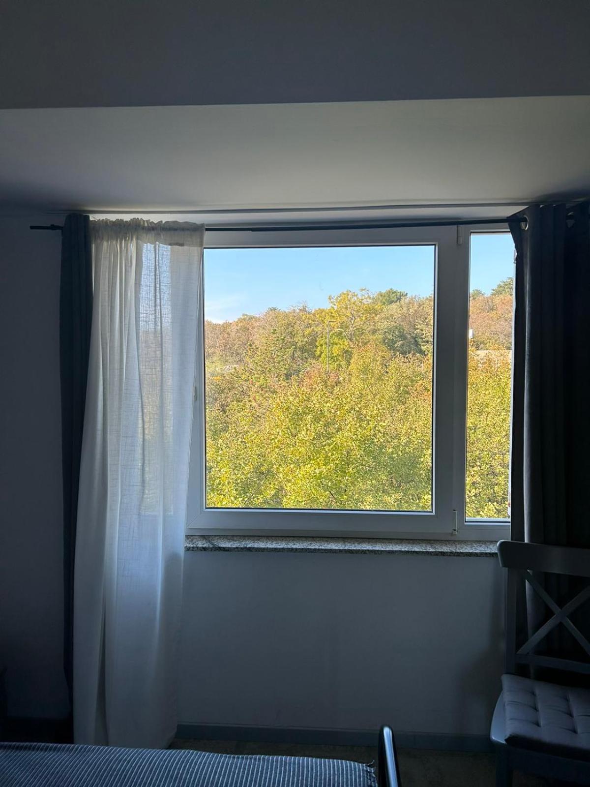 Vineyard apartment