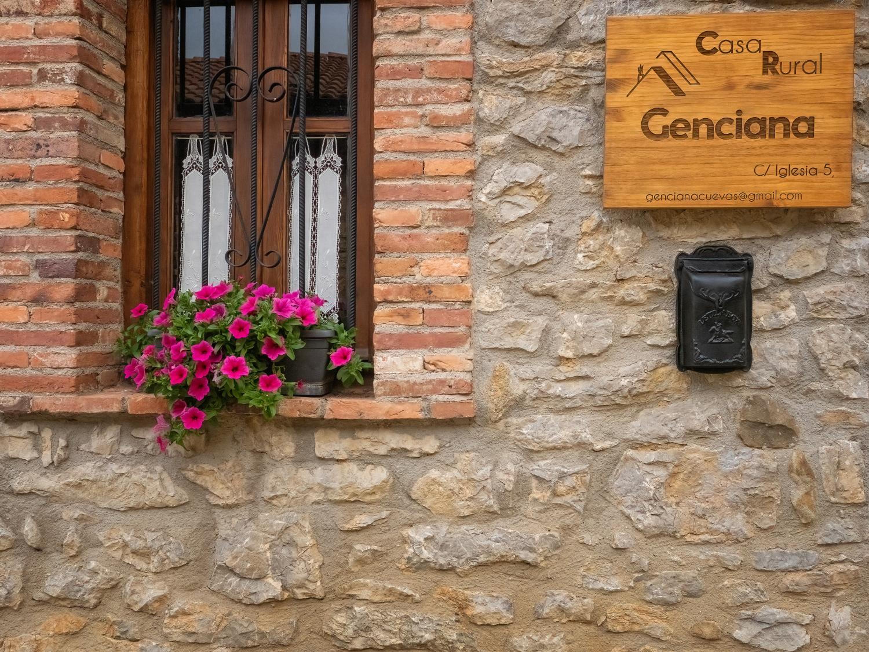 Genciana, Casa Rural con encanto en La Montaña Leonesa view 4