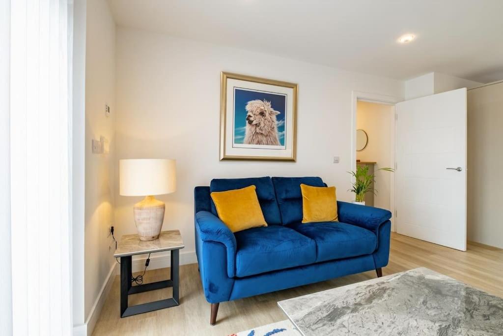 7 Saddler Court, Bury St Edmunds view 3