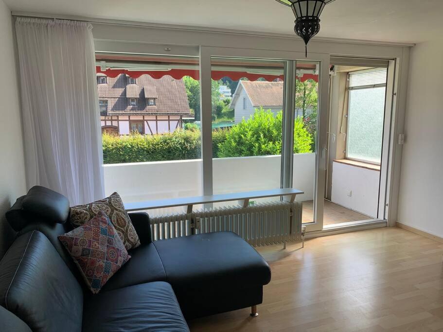 Simple Rhine view apartment