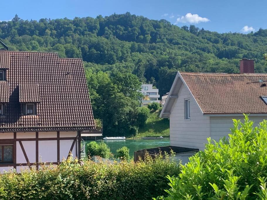 Simple Rhine view apartment