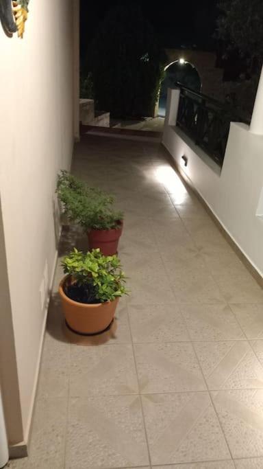 Photo 33