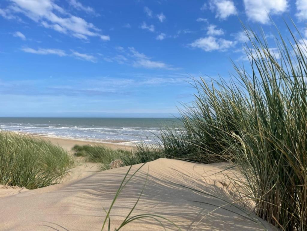 Sandscape - Eco Beach House - Close to Beach - Pet Friendly view 5