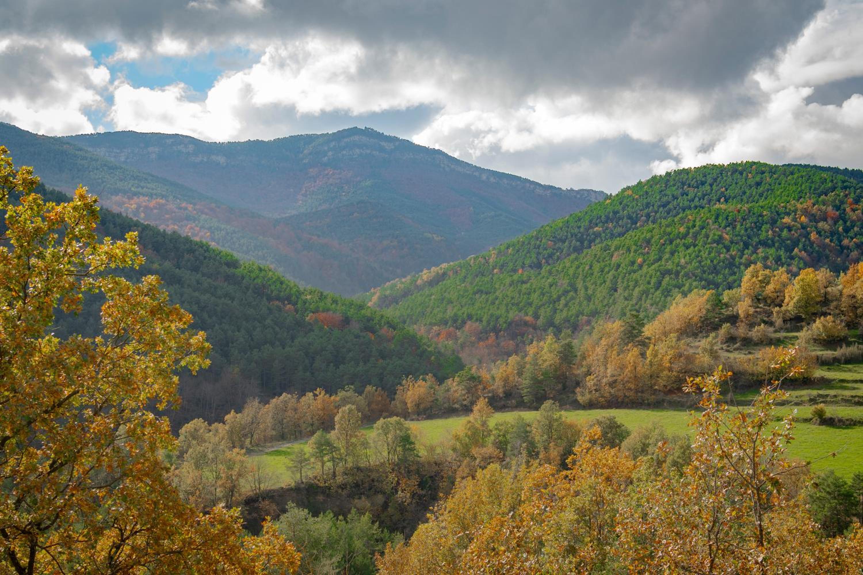 Apartamento en Gombrèn con vistas a la naturaleza view 3