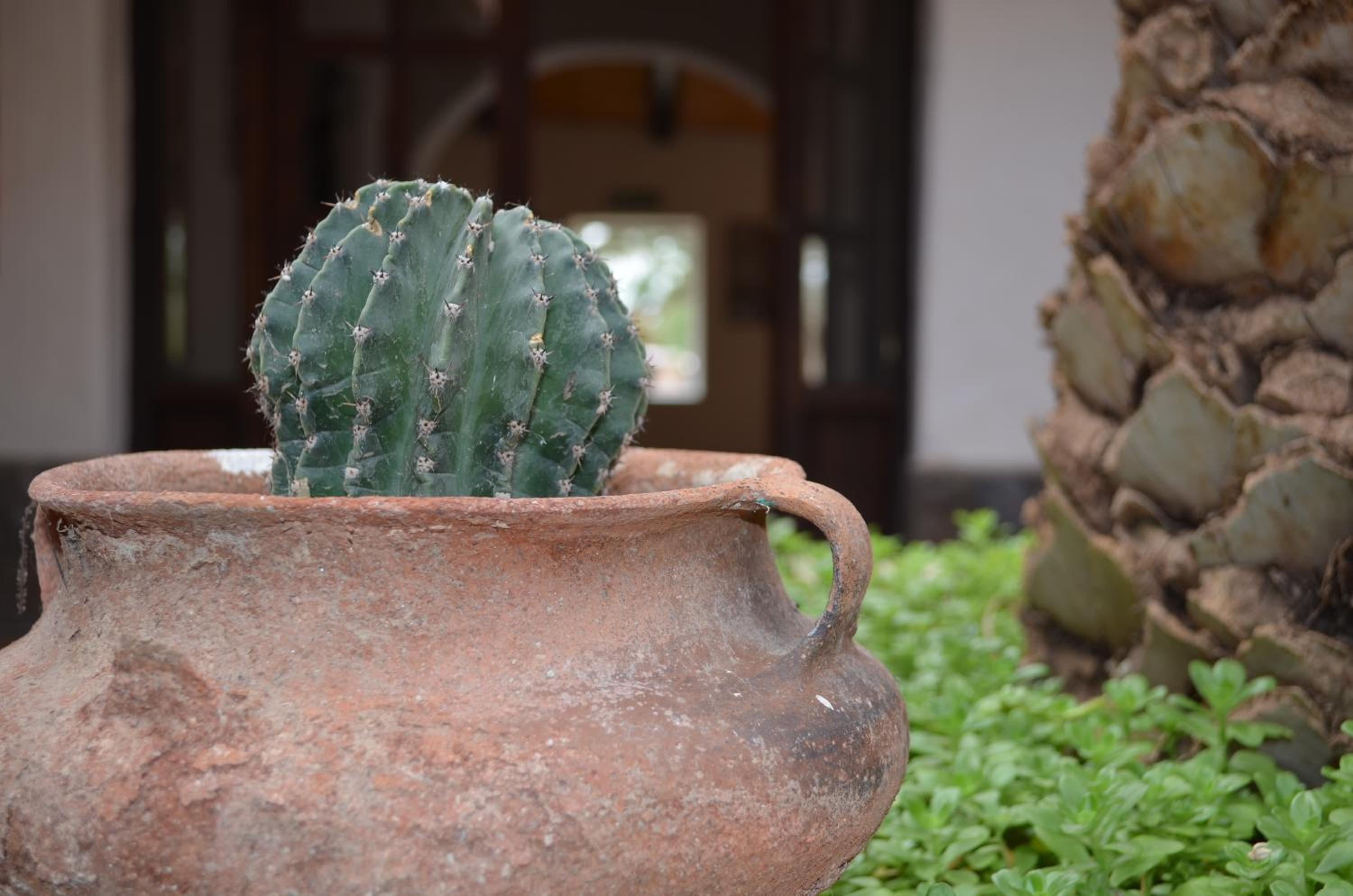 Finca El Carmen