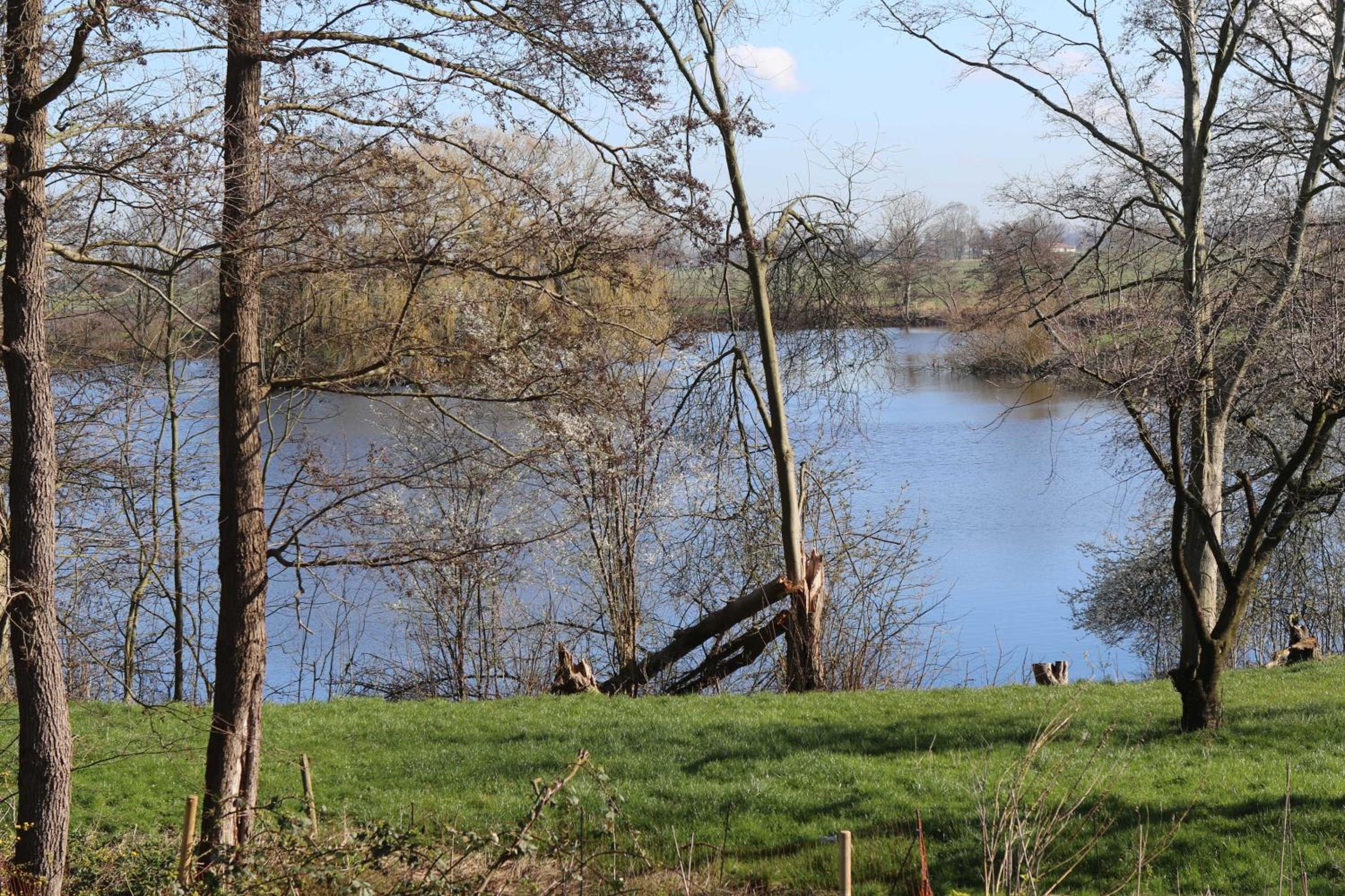 Photo 42