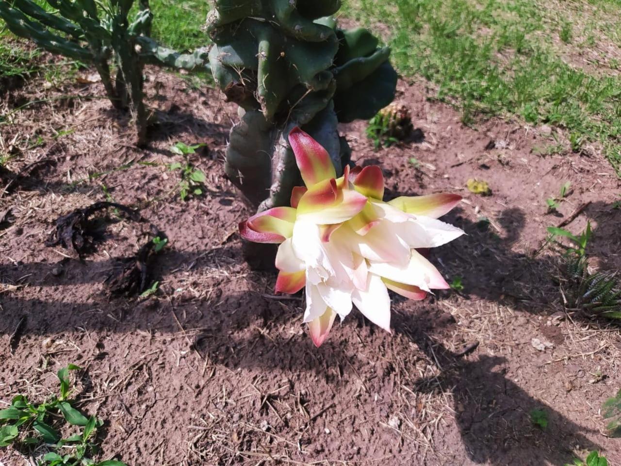 COMPLEJO TEMPORARIO Mis 6 Soles