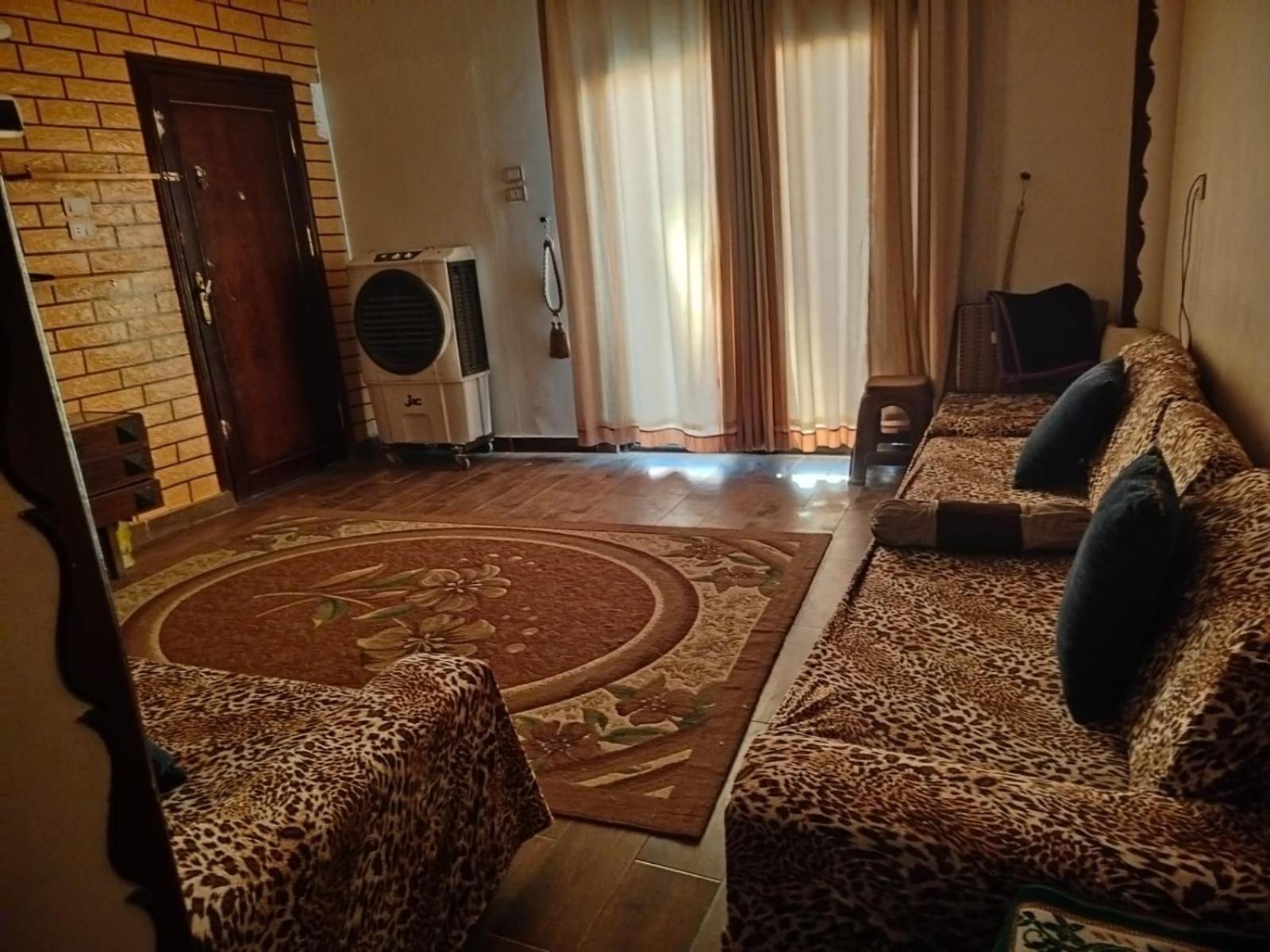 Cozy Apartment in Asyut