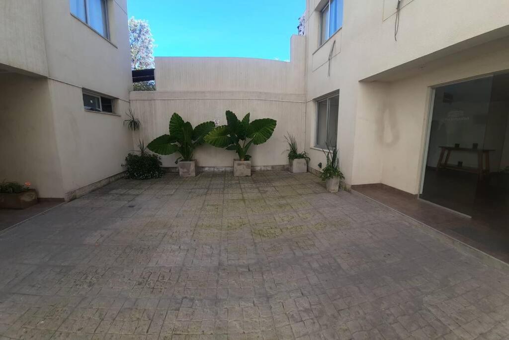 Patio de Jazmines IV