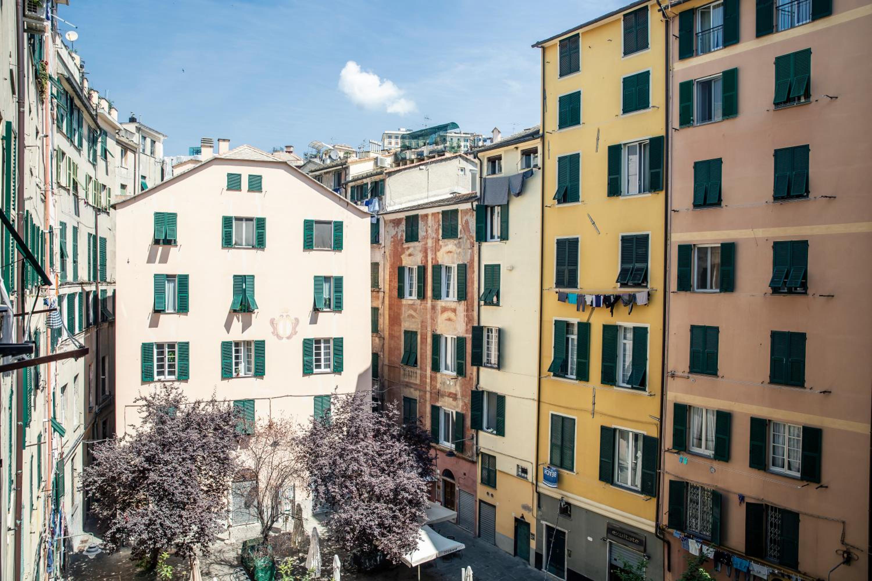Cuore di Zena