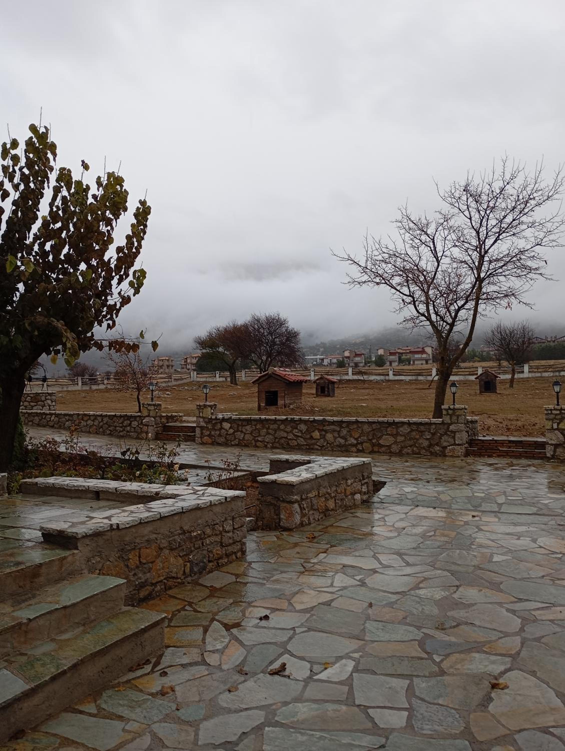 Alexander Houses livadi Arachovas photo 5