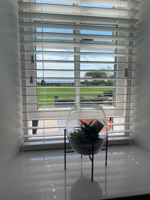 Watchhall, Annan, Dumfries & Galloway, Scotland Barn - 2 Bed view 5