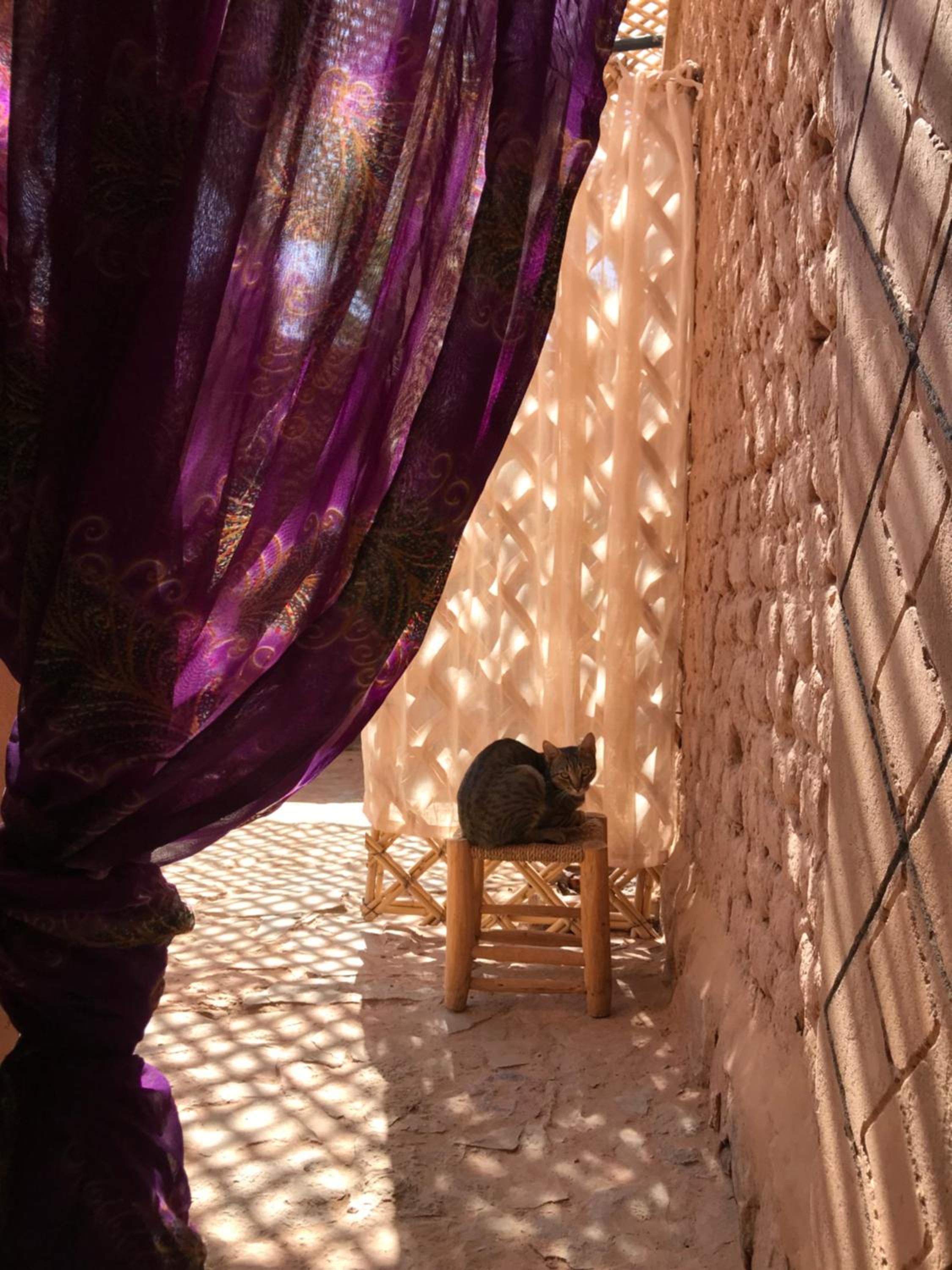 Kasbah Mashallah
