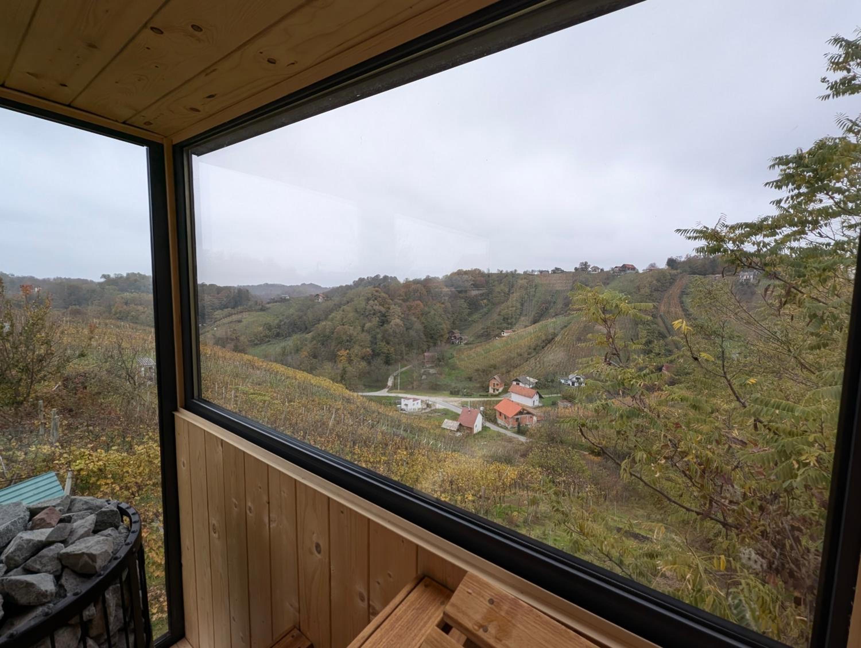 Vineyard View by Golden Pinpoint