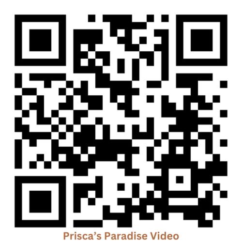 Prisca's Paradise view 2