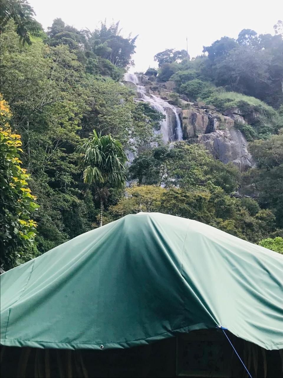 Ella Jungle Rock view 2