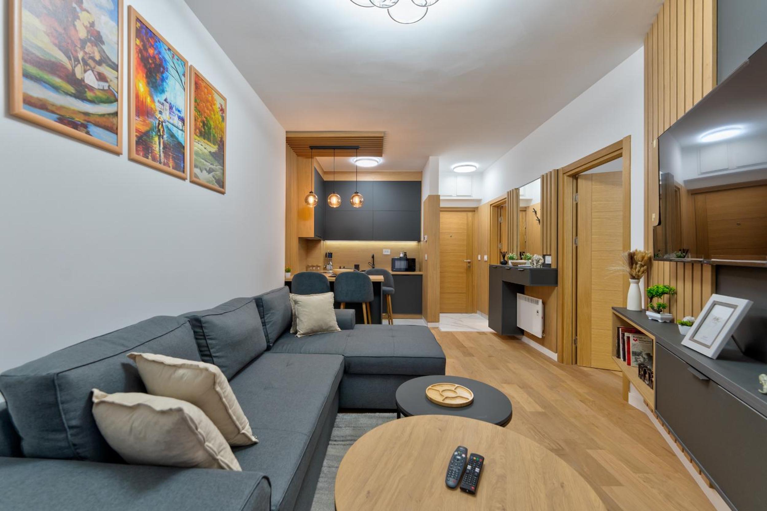 Lux Apartman Blagojević view 5